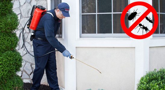 Çat Böcek İlaçlama böcek ilaçlama ve haşere kontrolü — ilaclama-tr.com